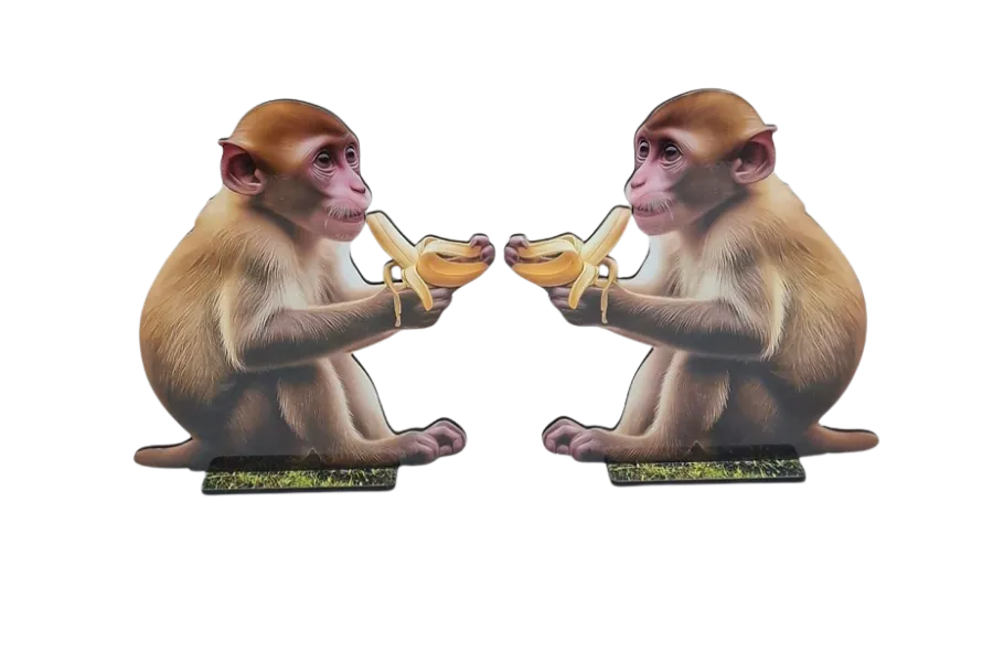 Monkey Pair